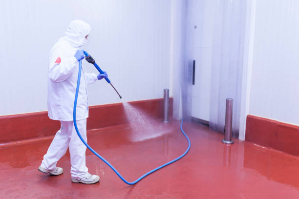 Best Post-Construction Pressure Washing  in Wagner, SD