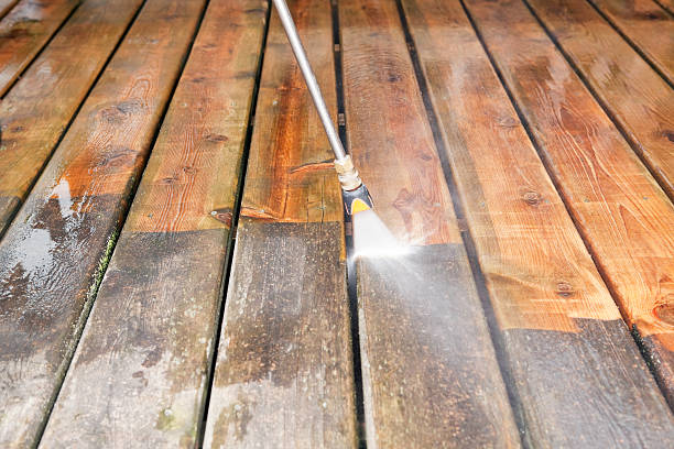 Best Roof Washing  in Wagner, SD