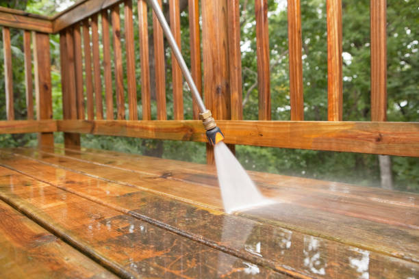 Best Sidewalk and Walkway Cleaning  in Wagner, SD